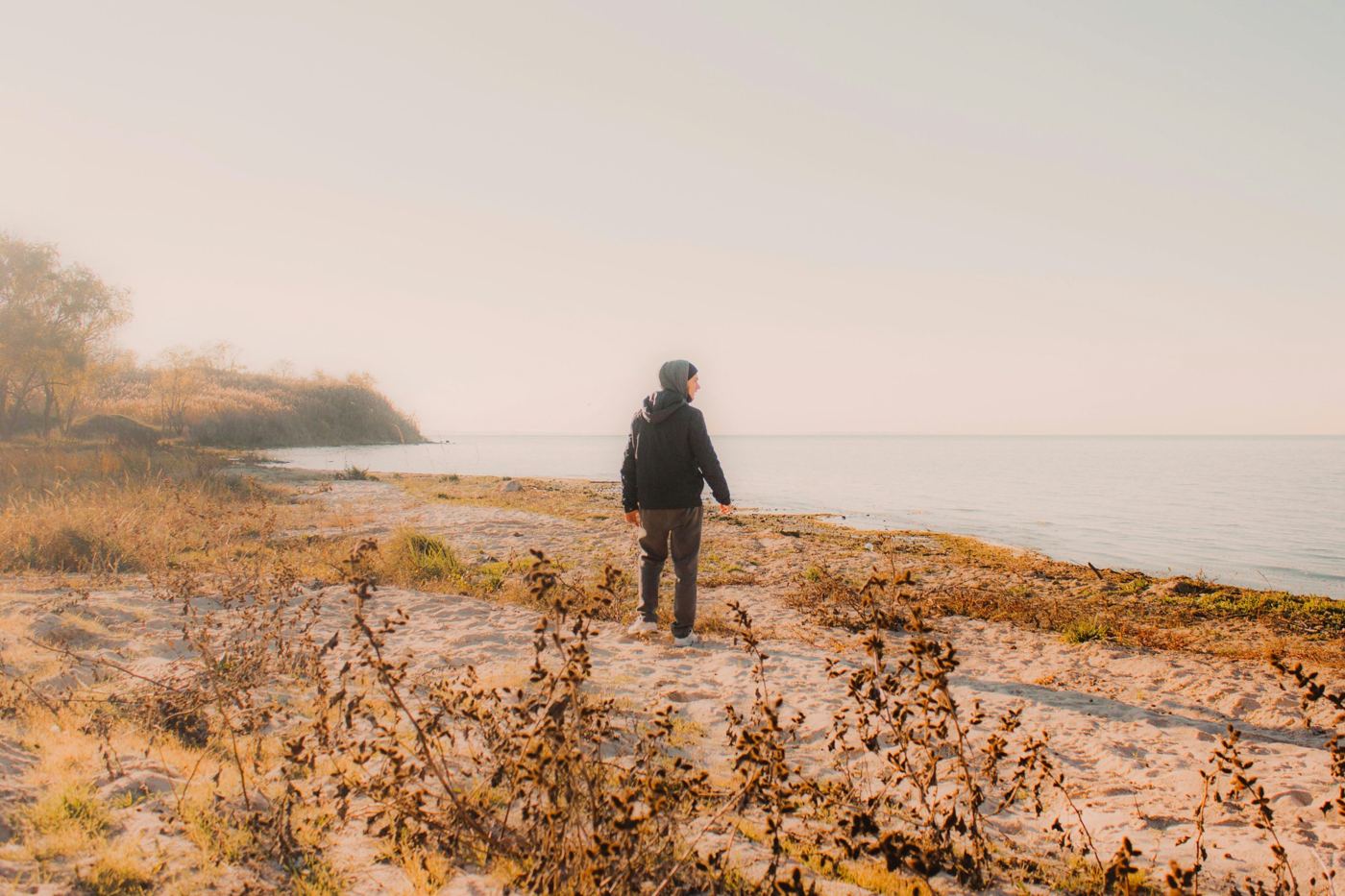 A person looking out over a hazy shore through dry grasses
